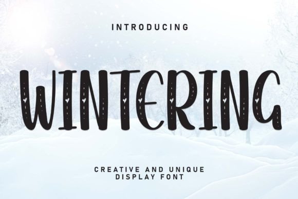 Wintering: The Friendly Handwritten Font for Clear Campaign Messaging